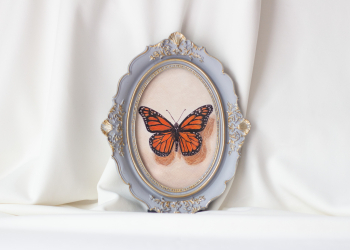 Monarch Butterfly Art Print in Frame